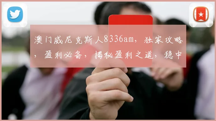 澳门威尼克斯人8336am，独家攻略，盈利必备，揭秘盈利之道，稳中求胜