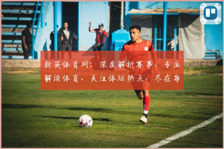 新英体育网：深度解析赛事，专业解读体育，关注体坛热点，尽在每一刻