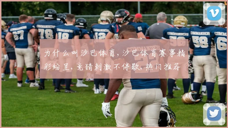 为什么叫沙巴体育,沙巴体育赛事精彩纷呈,竞猜刺激不停歇,热门推荐